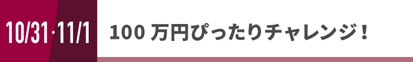 100万円ぴったりチャレンジ!